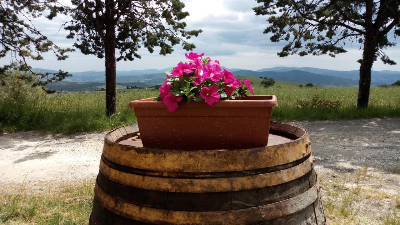La Pecora Verde San Gimignano Dış mekan fotoğraf
