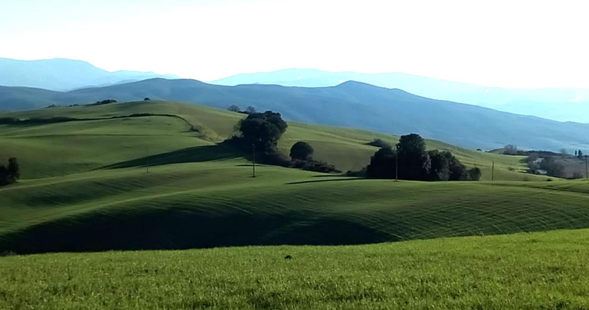 La Pecora Verde San Gimignano Dış mekan fotoğraf