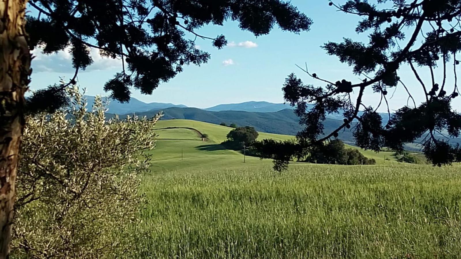 La Pecora Verde San Gimignano Dış mekan fotoğraf